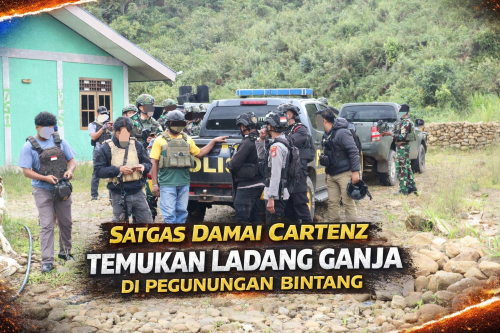 Satgas Damai Cartenz Temukan Ladang Ganja di Pegunungan Bintang