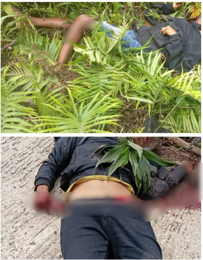 Empat Nakes Tambrauw Diserang OTK: Dua Ditemukan Tewas